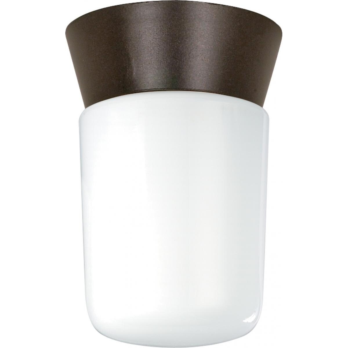 1-Light Utility Ceiling Mount - Mycitystee
