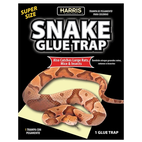 Harris SNAKE-1 Snake Glue Trap， 15.4 in L， 9.9 in W， Glue Board Locking - Mycitystee