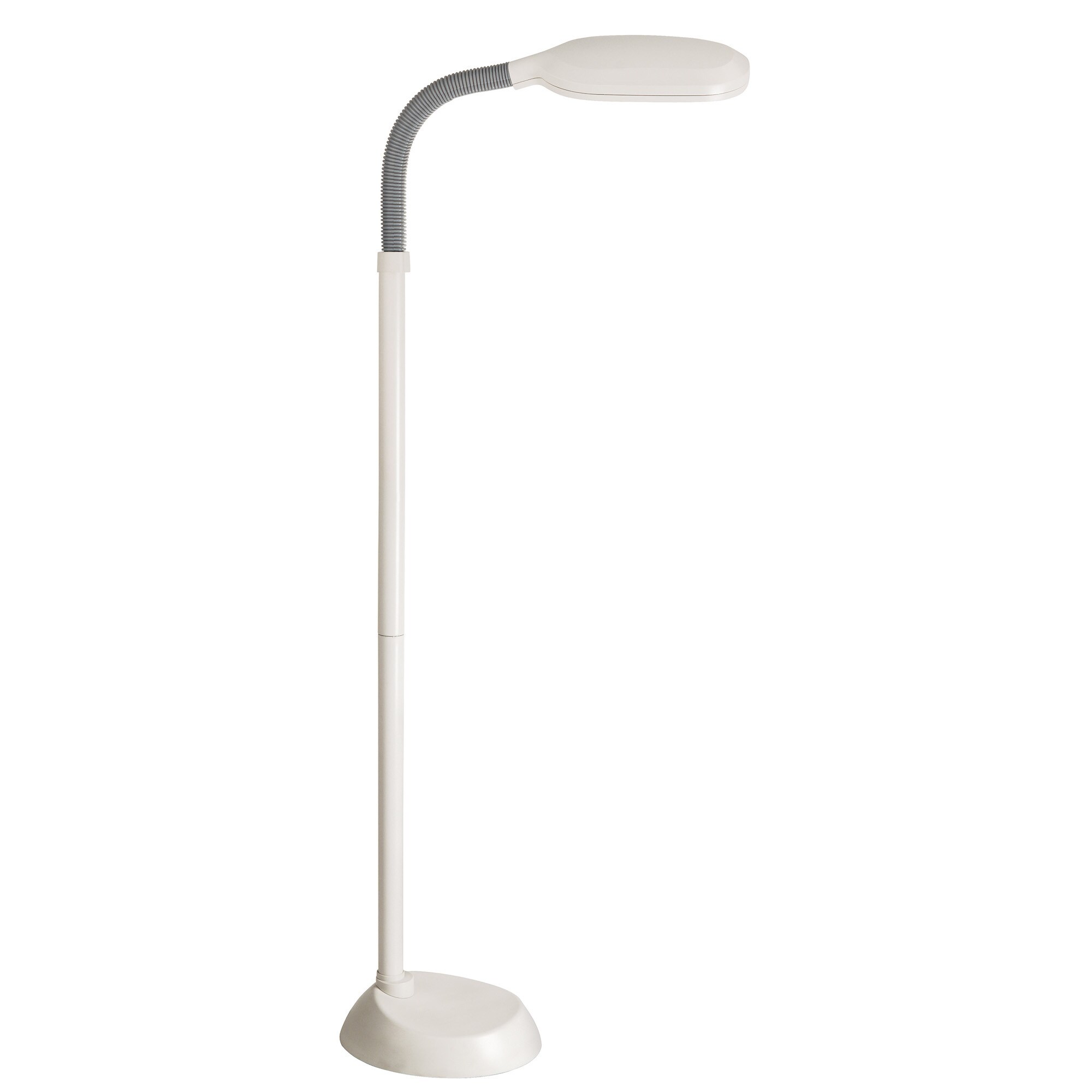 Lite Source 1-Light Aptos Floor Lamp - Mycitystee