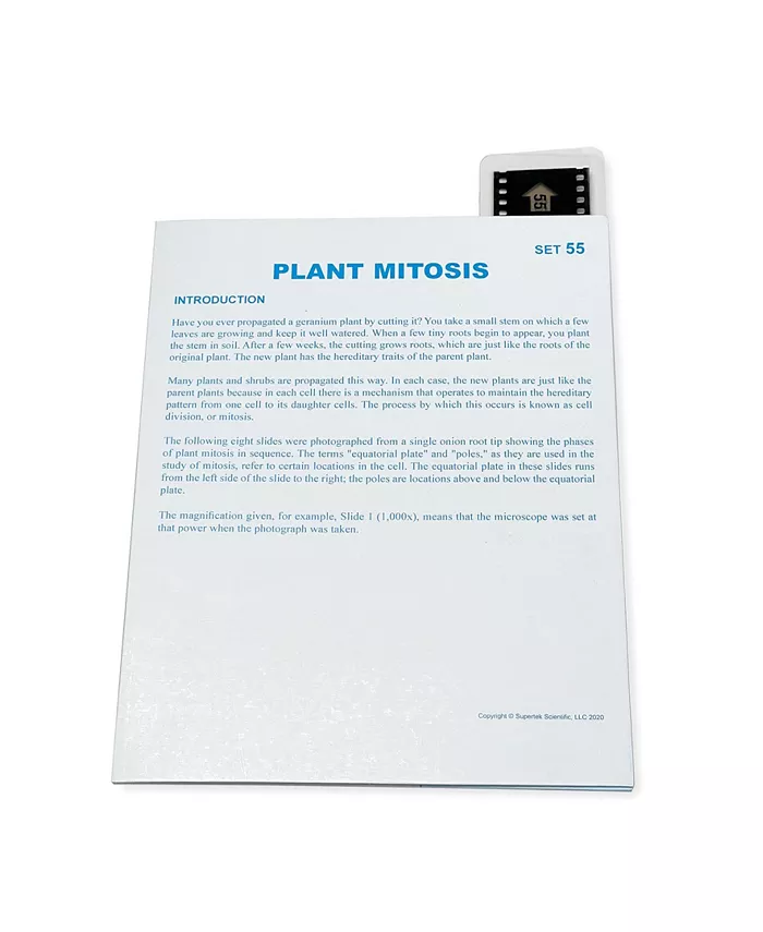 Supertek Microslide， Plant Mitosis - Mycitystee