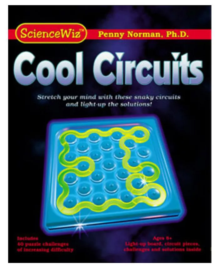 ScienceWiz Products Cool Circuits Puzzle - Mycitystee