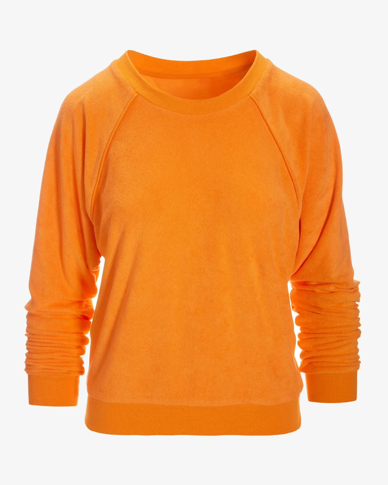 Beach Terry Crew Neck Sweatshirt Birds of Paradise - Mycitystee