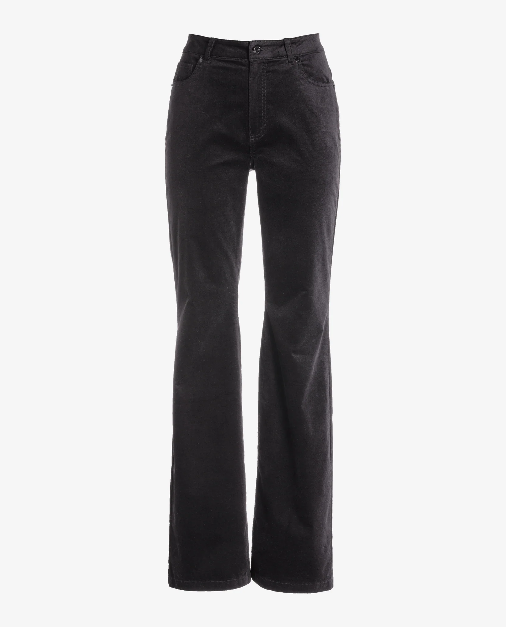 Monterey Velvet Five Pocket Bootcut Pant Black - Mycitystee