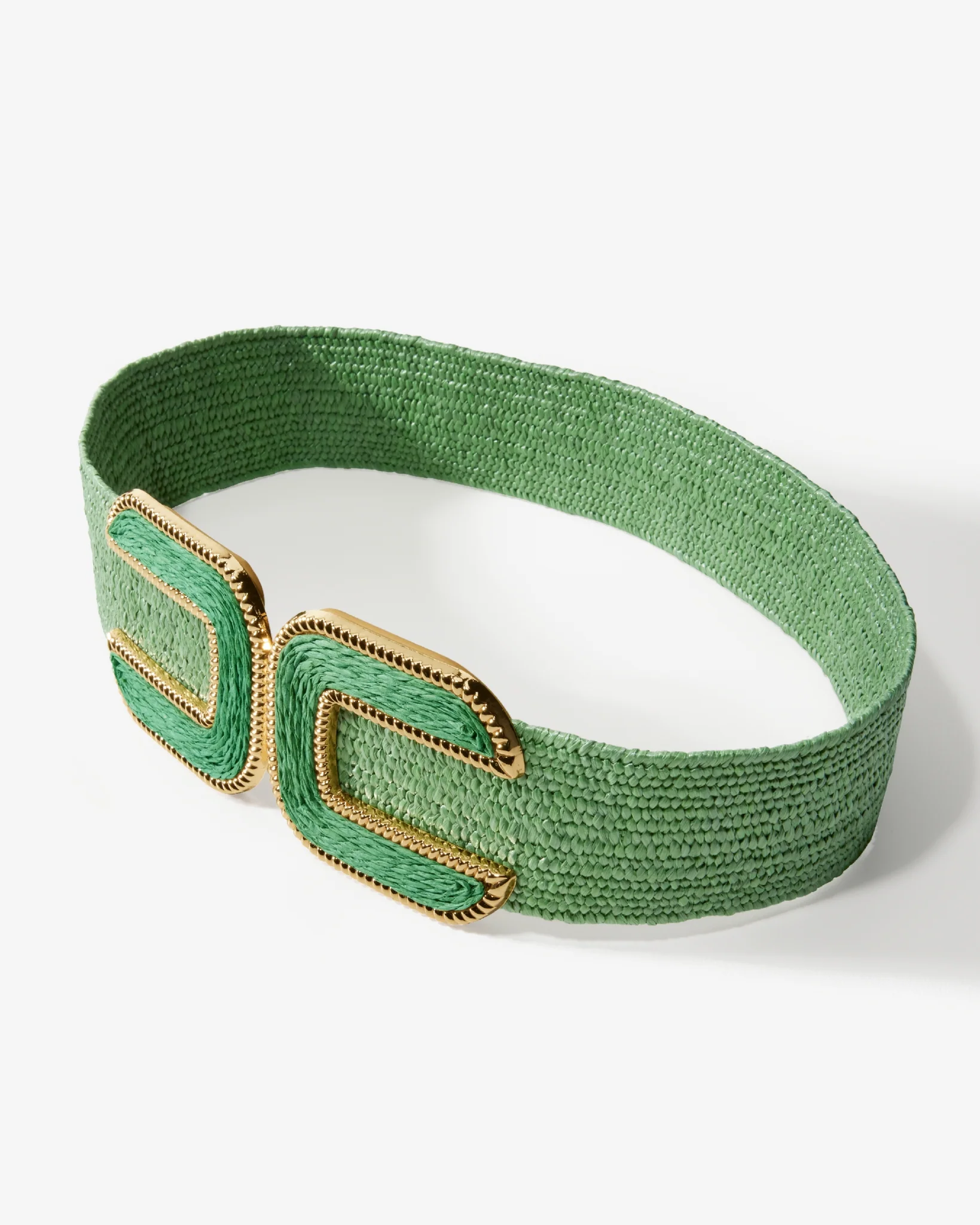Gold Hardware Raffia Elastic Belt Bottle Green - Mycitystee